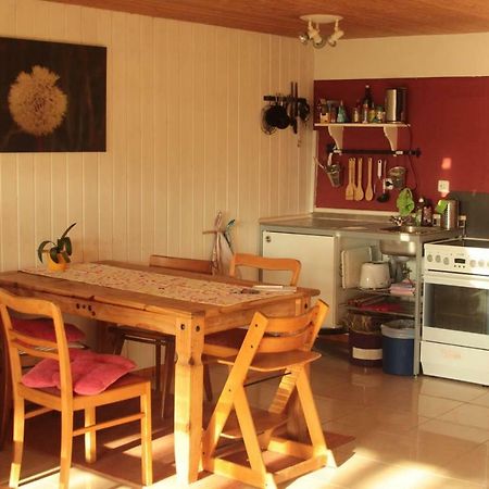 Apartment Hof Schwalbennest Amt Neuhaus Kültér fotó