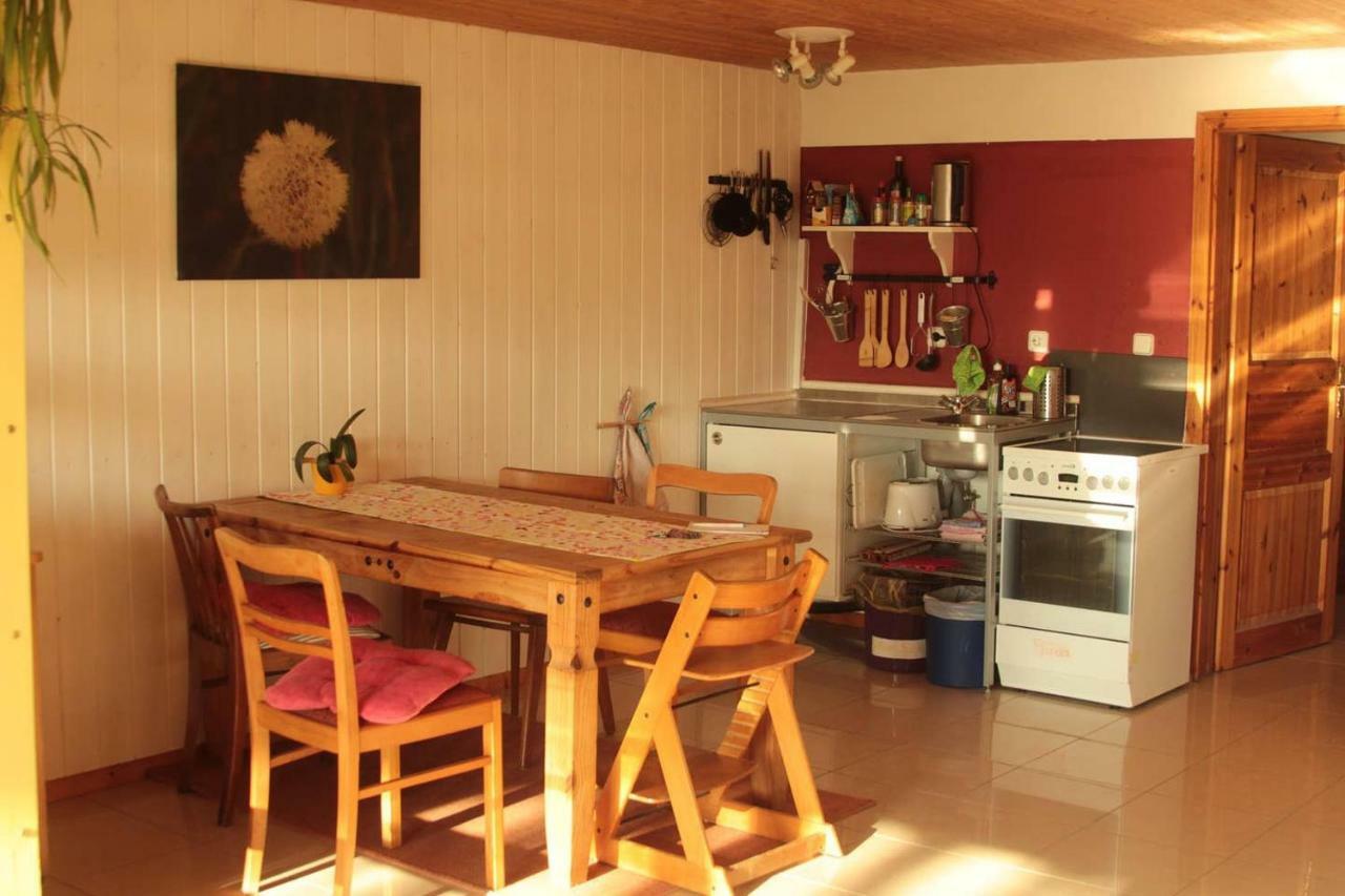 Apartment Hof Schwalbennest Amt Neuhaus Kültér fotó